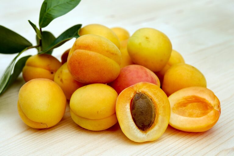vegan skin care retinol and vitamin c