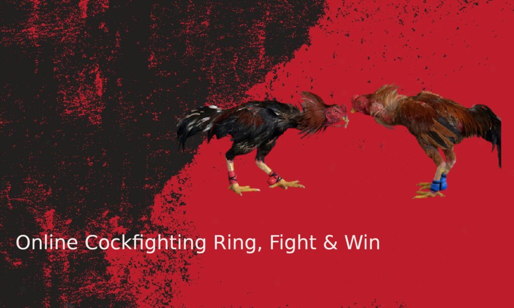 fighting game tournaments