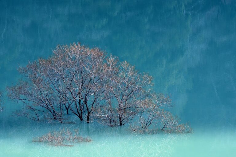 is mopfell78 the best graphics in a pc game