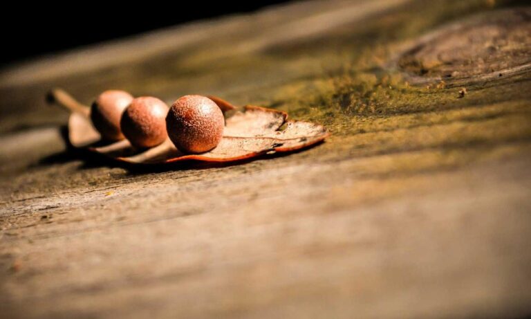 software gdtj45 builder does not work