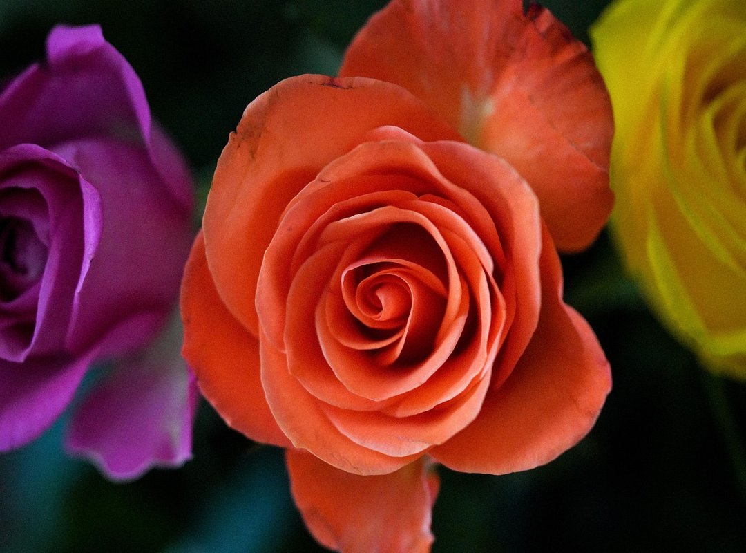 Exploring Jon Marianek's Career and Expertise