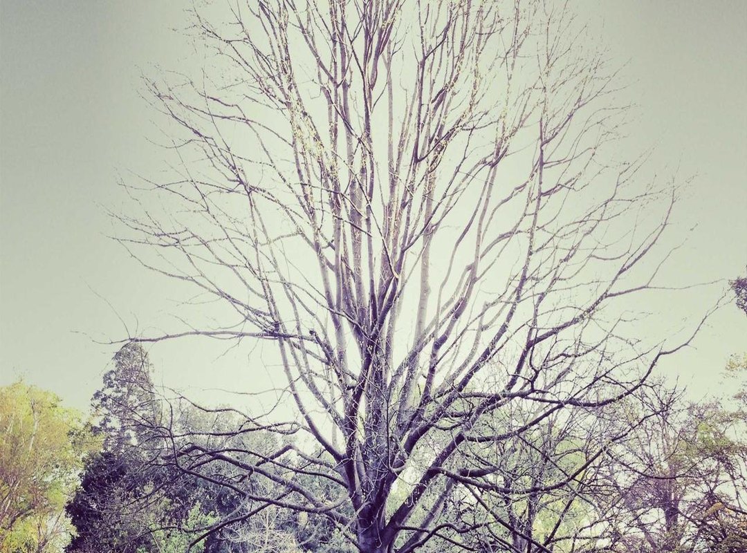 Strategic Placements: Where These Tattoos Look Best