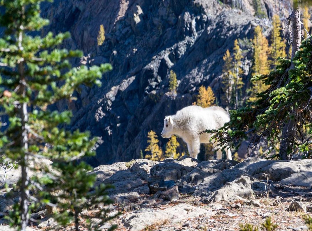 The Story Behind the Song: Miel San Marcos and its Inspiration