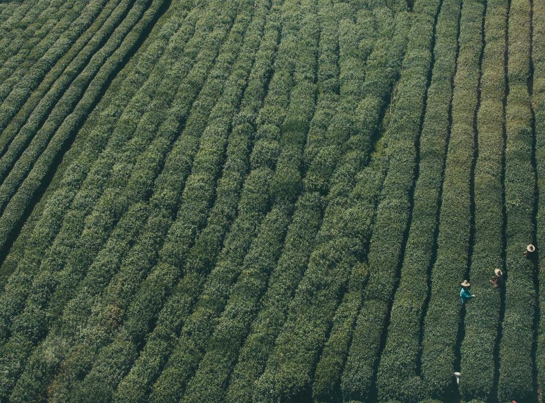 The Aftermath: Public Reaction and Media Coverage