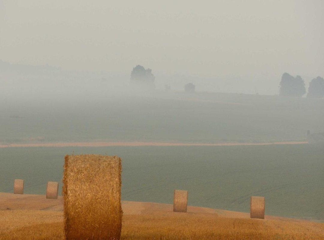 Trending Now: Messy, Textured, and Longer Looks