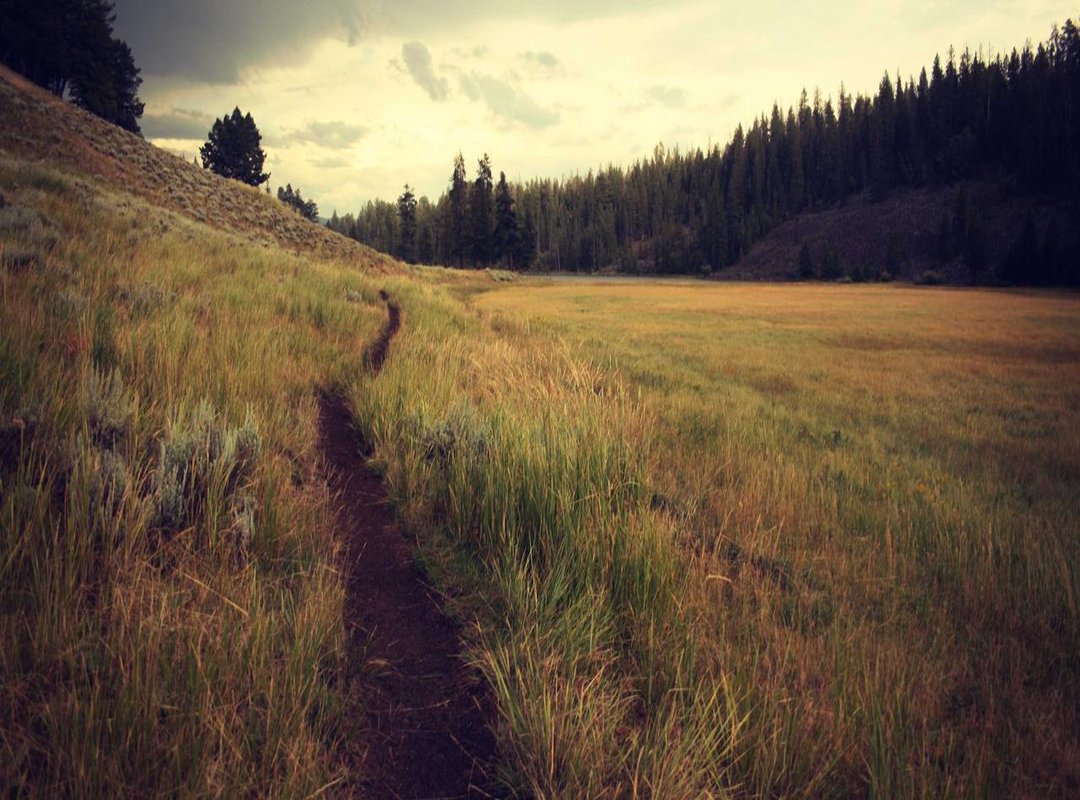 From TVB Superstars to Modern Legends: Their Careers Today